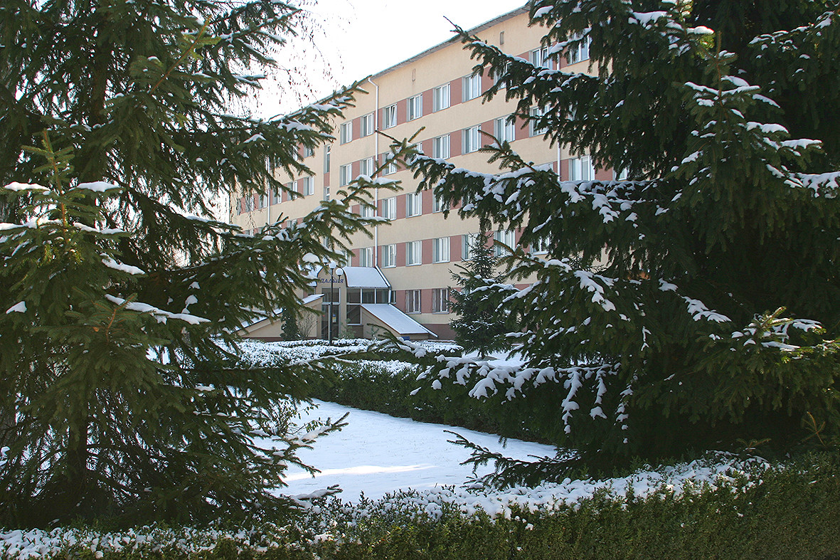 55.JPG