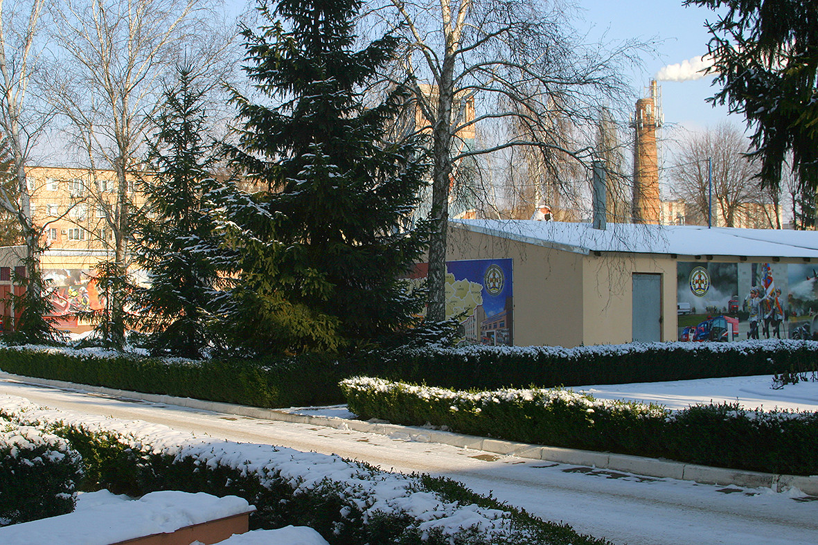 66.JPG
