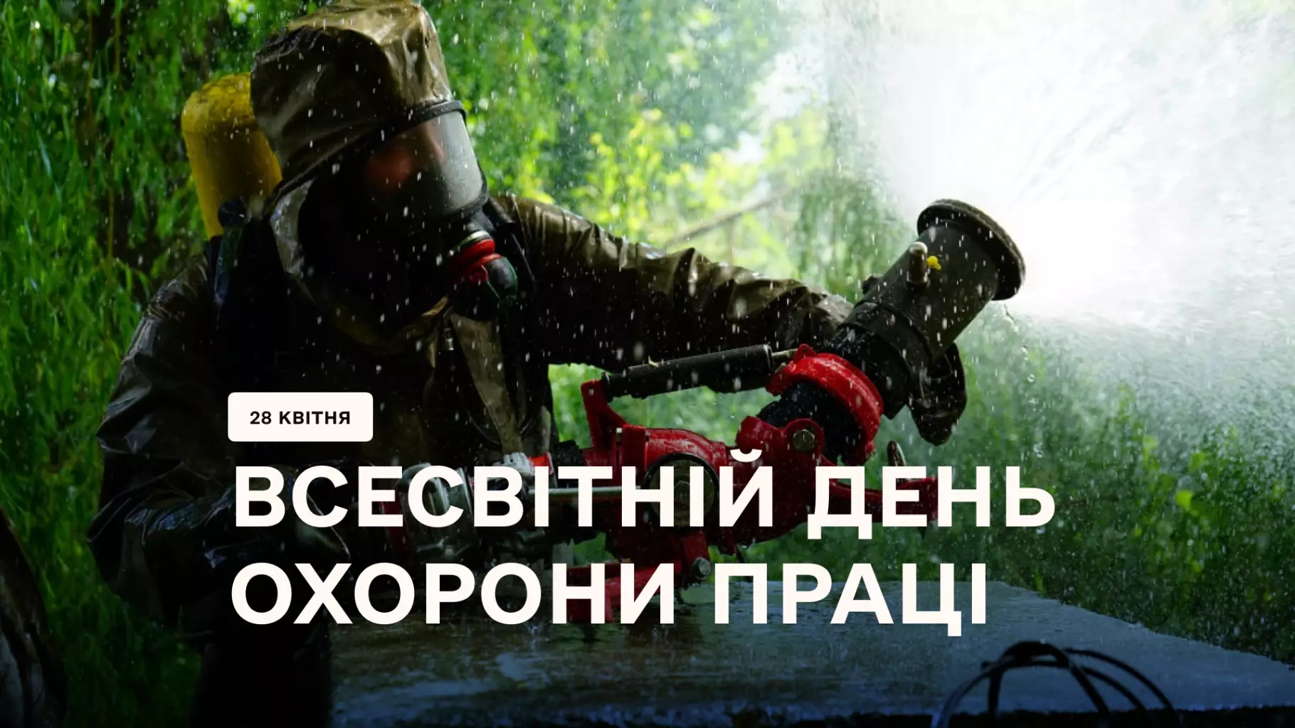 61fd664d-49c8-4ac9-a549-90278f187eff.png