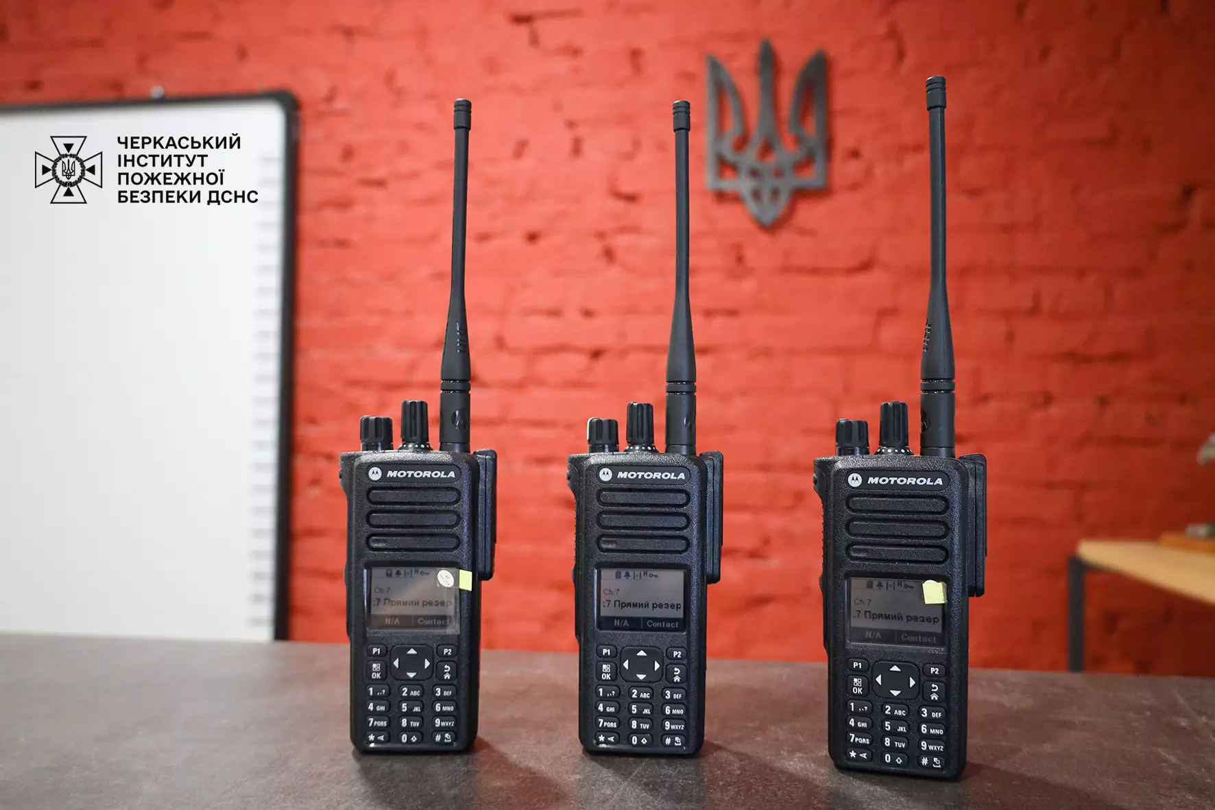 2r5a9901.jpg