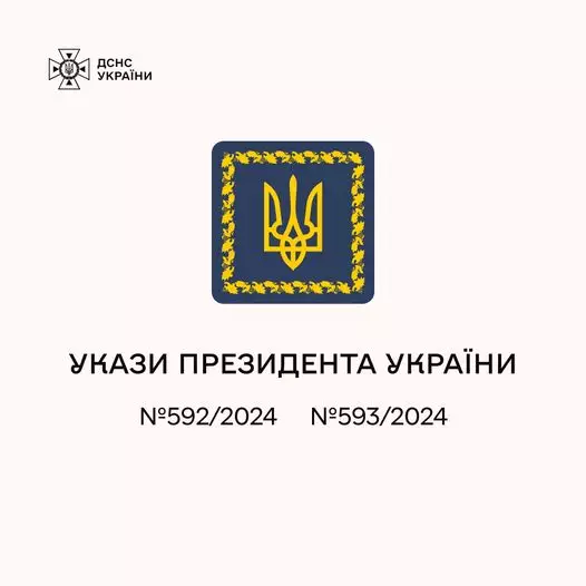 456604430-925545356280021-1513629640367475717-n.jpg